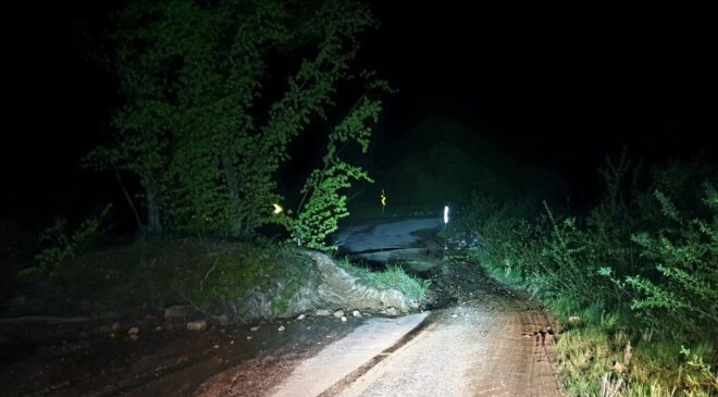 Bursa’da heyelan nedeniyle köy yoluna ağaçlar düştü