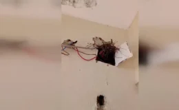 Kaçağa itiraz etti, ikinci kez yakalandı