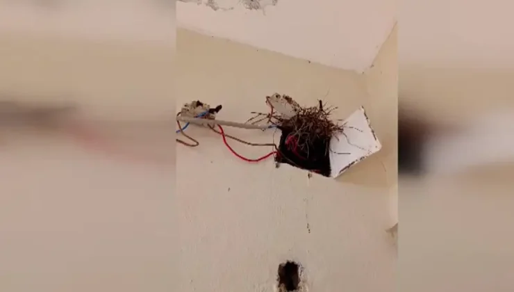 Kaçağa itiraz etti, ikinci kez yakalandı