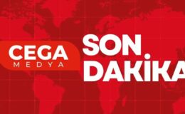 Diyarbakır uçağı Ankara'ya acil iniş yaptı