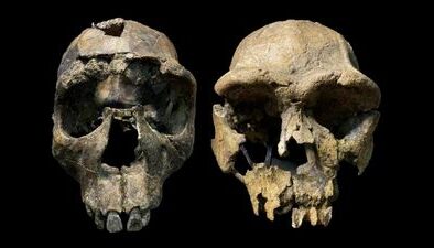 Afrika Kıta Levhası Düşündüğümüzden Daha Hızlı Parçalanıyor – Ve Burada Bu Kadar Çok İnsan Fosili Bulunmasının Nedeni Bu Olabilir