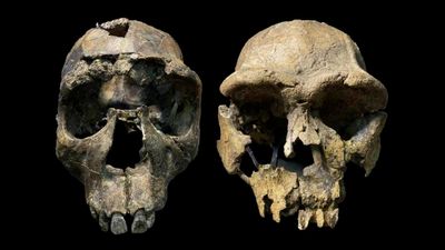 Afrika Kıta Levhası Düşündüğümüzden Daha Hızlı Parçalanıyor – Ve Burada Bu Kadar Çok İnsan Fosili Bulunmasının Nedeni Bu Olabilir