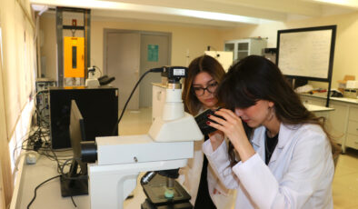 Yumurta kabuğundan implantlarda kullanılabilecek biyomalzeme ürettiler