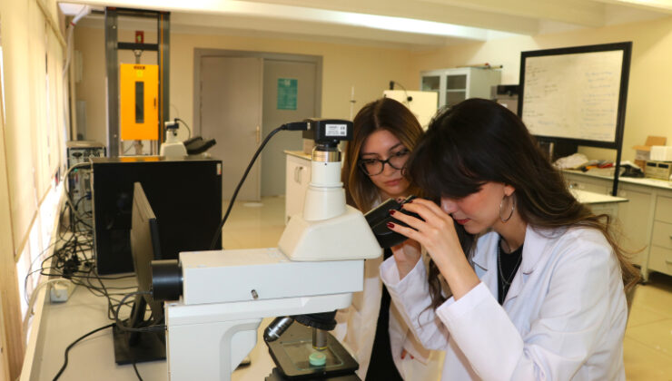 Yumurta kabuğundan implantlarda kullanılabilecek biyomalzeme ürettiler