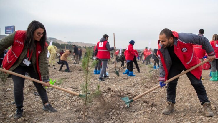 “Hastaya Kan, Ormana Can” projesiyle 4,7 milyon fidan toprakla buluştu
