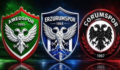 Amed, Erzurum ve Çorum aynı amblemli