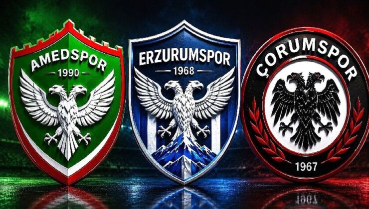 Amed, Erzurum ve Çorum aynı amblemli
