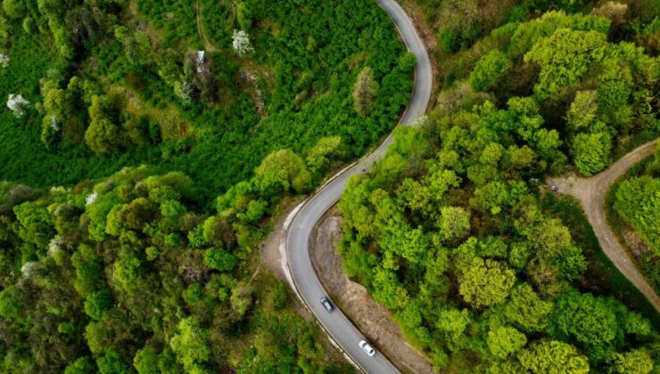 Kahramanmaraş’ta ormanlık alanlara girişler yasaklandı