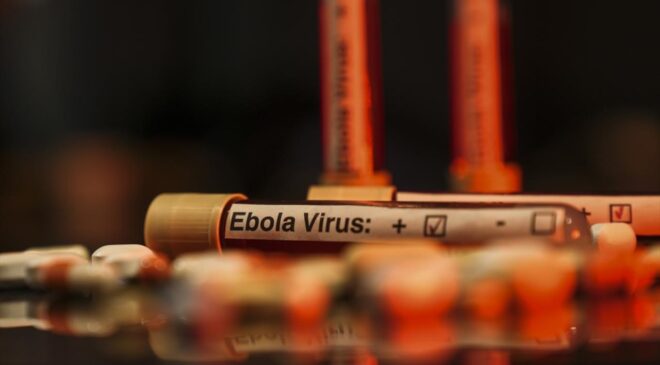 Ebola mücadelesine Batı’dan bütçe darbesi: Salgın küresel riske dönebilir