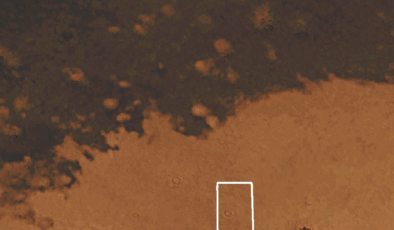 Antik Kül, Son 50 Yıldır Mars’ın Ütopya Planitiasında Sürünüyor – Nedenini Bilmiyoruz
