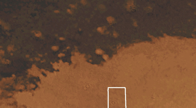 Antik Kül, Son 50 Yıldır Mars’ın Ütopya Planitiasında Sürünüyor – Nedenini Bilmiyoruz