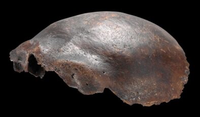 7.500 Yıllık “Neandertal-İnsan Melezi” Kafatasının Farklı Bir Şey Olduğu Ortaya Çıktı