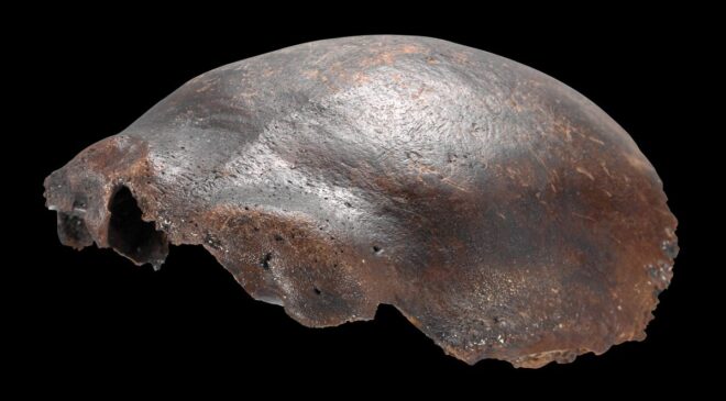 7.500 Yıllık “Neandertal-İnsan Melezi” Kafatasının Farklı Bir Şey Olduğu Ortaya Çıktı