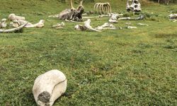 BM’den yapay zeka uyarısı
