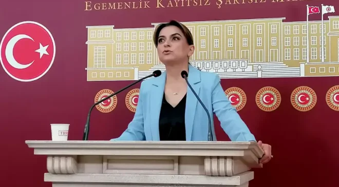 Koçyiğit: Meclis kapanmadan yasal adımlar somutlaştırılmalı