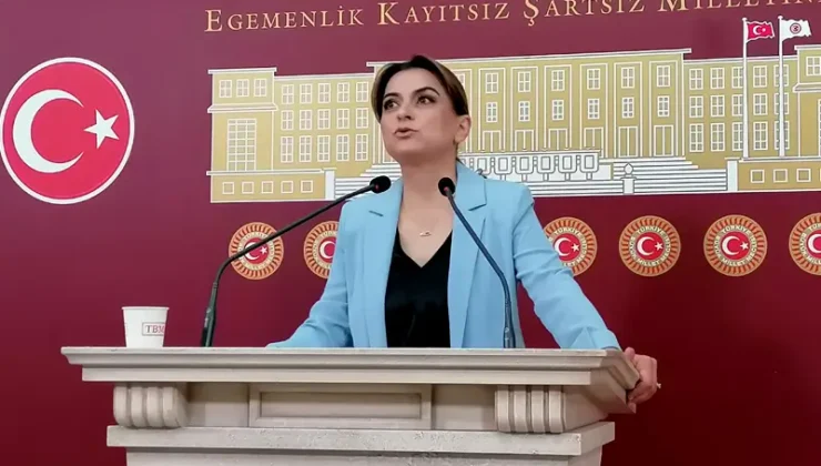 Koçyiğit: Meclis kapanmadan yasal adımlar somutlaştırılmalı