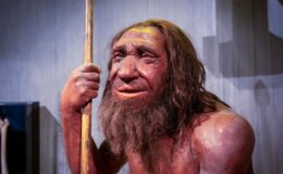 Neandertallerin Eski Vahşi İmgesi Tek Bir Fosille Bağlantılıydı – Ama Bu Tamamen Bir Yanılgıydı