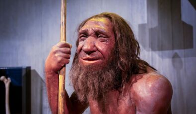 Neandertallerin Eski Vahşi İmgesi Tek Bir Fosille Bağlantılıydı – Ama Bu Tamamen Bir Yanılgıydı