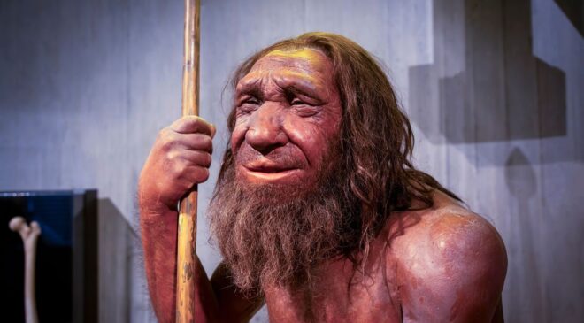 Neandertallerin Eski Vahşi İmgesi Tek Bir Fosille Bağlantılıydı – Ama Bu Tamamen Bir Yanılgıydı