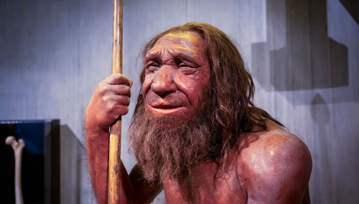 Neandertallerin Eski Vahşi İmgesi Tek Bir Fosille Bağlantılıydı – Ama Bu Tamamen Bir Yanılgıydı