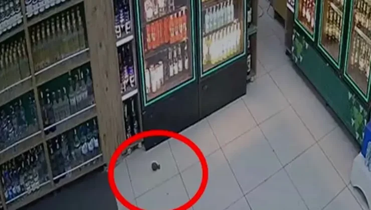 Diyarbakır’daki el bombalı saldırı yargıya taşındı