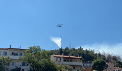 Balıkesir’de orman yangını