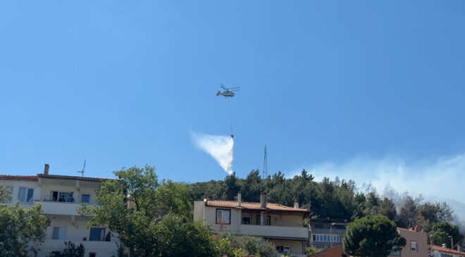 Balıkesir’de orman yangını