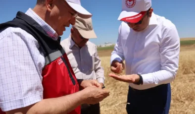 Diyarbakır'da hasat etkinliği düzenlendi
