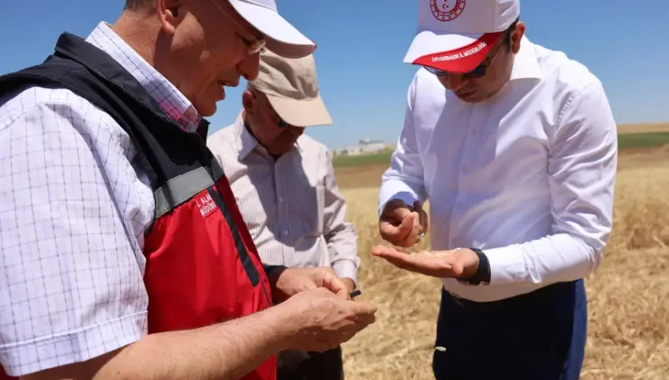 Diyarbakır'da hasat etkinliği düzenlendi