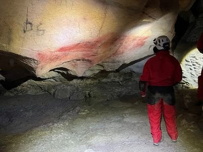"Çok Heyecanlandık": İlk Kez Mağara Sanatından Antik İnsan DNA’sı Bulundu