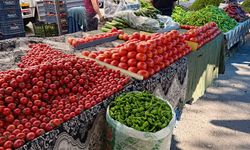 Diyarbakır, İznik Konsili kayıtlarında yer alıyor