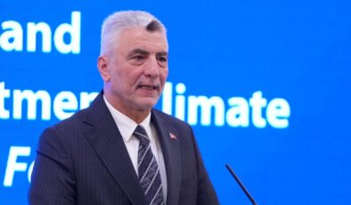 Bakan Bolat: NusaybinKamışlı Gümrük Kapısı'nı açmak için çalışmalar hızlandırıldı