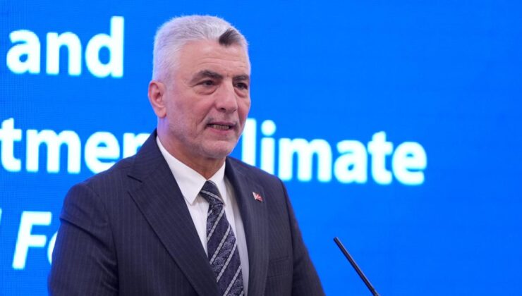 Bakan Bolat: NusaybinKamışlı Gümrük Kapısı'nı açmak için çalışmalar hızlandırıldı