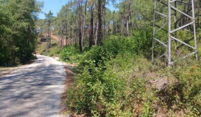 OGM'den yangın mesaisi: 16 bin 500 bin kilometre orman yolu temizlendi