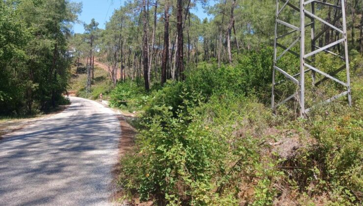 OGM'den yangın mesaisi: 16 bin 500 bin kilometre orman yolu temizlendi