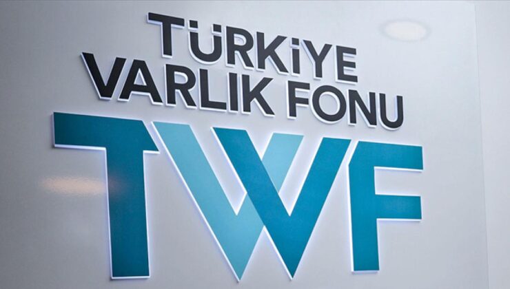 Türkiye Varlık Fonu dünyanın en hızlı gelişen fonları arasında