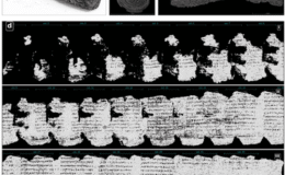Vezüv Yanardağı’nın Patlaması Sırasında Yanan Herculaneum Parşömeni’nin Tamamı 2000 Yıl Sonra İlk Kez Okundu