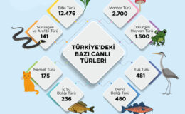 Türkiye’nin genetik hazinesi koruma altında