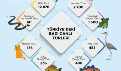 Türkiye’nin genetik hazinesi koruma altında