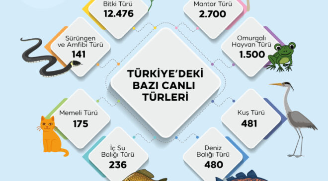 Türkiye’nin genetik hazinesi koruma altında