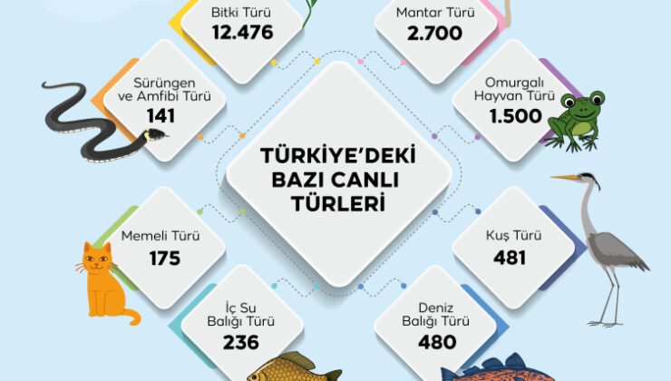 Türkiye’nin genetik hazinesi koruma altında