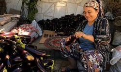Diyarbakır polisi, kaçan şüphelileri yakaladı