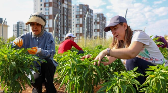 Diyarbakır’da üretici kadınlar Eş Başkan Bucak ile buluştu