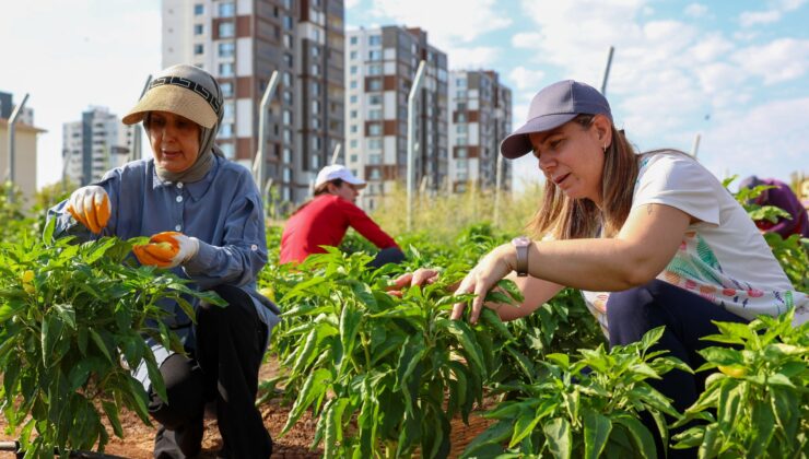 Diyarbakır’da üretici kadınlar Eş Başkan Bucak ile buluştu