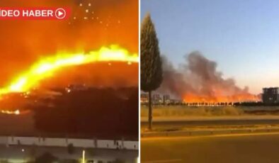 Diyarbakır’da ağaçlık alanda yangın paniği
