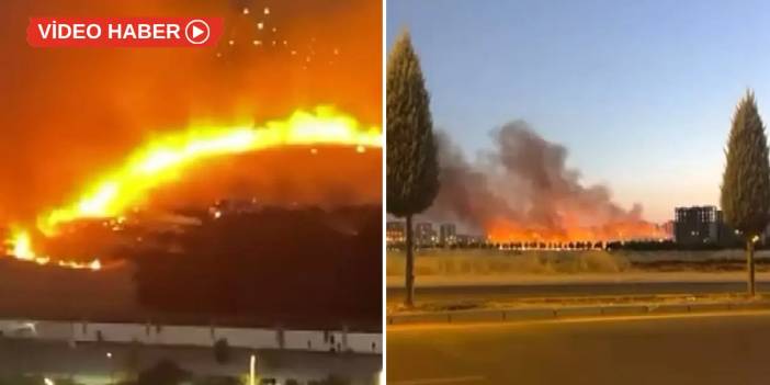 Diyarbakır’da ağaçlık alanda yangın paniği