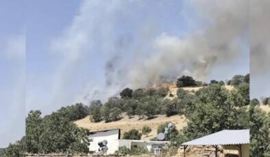 Diyarbakır’da odunluk yangını paniğe neden oldu