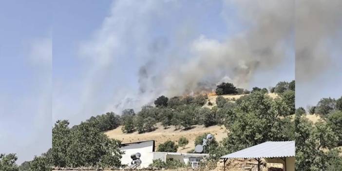 Diyarbakır’da odunluk yangını paniğe neden oldu