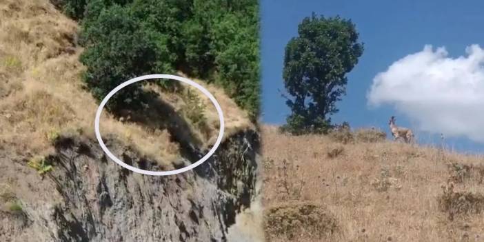 Bingöl’de engelli birey akıntıya kapıldı: Arama çalışması başlatıldı