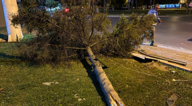 Otomobil önce ağacı ikiye böldü, ardından parka daldı